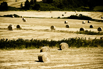 Image showing Typical Tuscan landscape