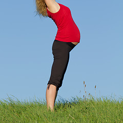 Image showing pregnant woman on meadow