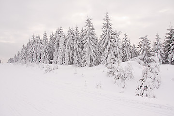 Image showing fresh snow in the mountains