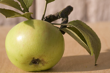Image showing Garden apple