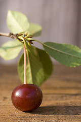 Image showing Garden cherry