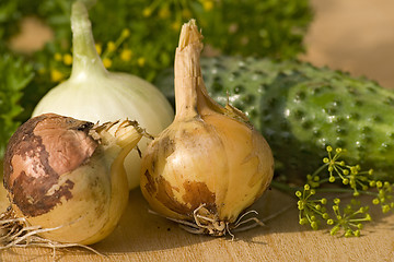 Image showing Fresh vegetables X