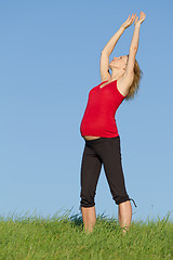 Image showing pregnant woman on meadow