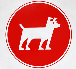 Image showing Dog