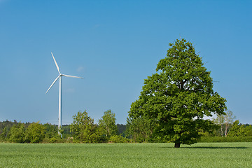 Image showing windmill  farm