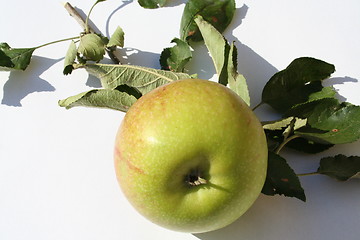 Image showing Apple against white background