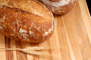 Image showing Italian bread loaves with wheat