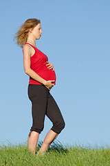 Image showing pregnant woman on meadow