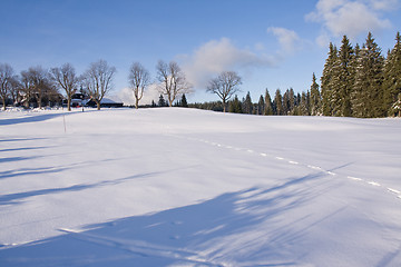 Image showing fresh snow in the mountains