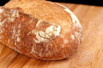 Image showing Large Italian bread loaf