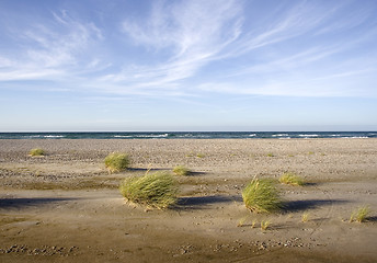 Image showing Windy beach