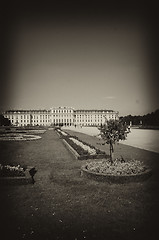 Image showing Gardens and Flowers inside Schonbrunn Castle