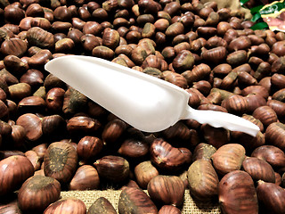 Image showing Chestnuts in a Box, Italy