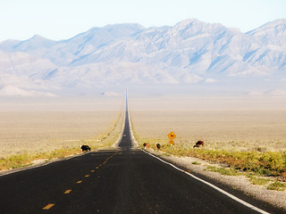 Image showing Extraterrestrial Highway, Nevada