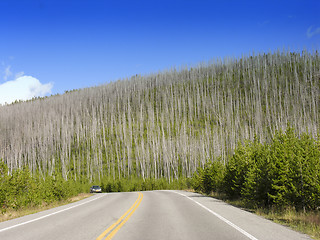 Image showing Colors of Yellowstone