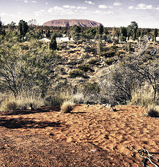 Image showing Detail of Australian Outback