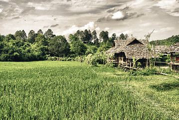 Image showing Nature of Thailand