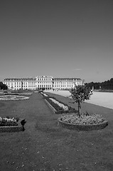 Image showing Gardens and Flowers inside Schonbrunn Castle
