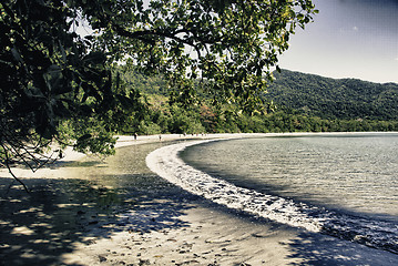 Image showing Vegetation and Colors of Cape Tribulation, Queensland