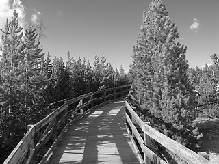 Image showing Colors of Yellowstone