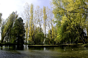 Image showing Vegetation of Fonti del Clitunno Park in Umbria