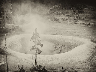 Image showing Yellowstone Geyser