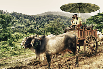 Image showing Countryside of Thailand