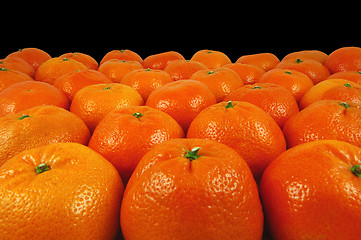 Image showing Oranges