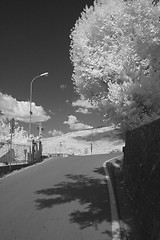 Image showing Infrared Picture of Barga, Italy