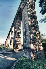 Image showing Colors of Fall in Lucca, Tuscany