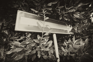 Image showing Road Sign in Tuscany, Italy