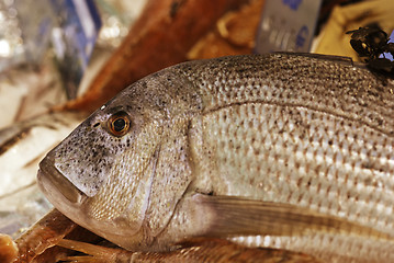 Image showing Fish Market, Cannes