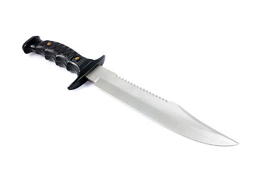 Image showing field knife