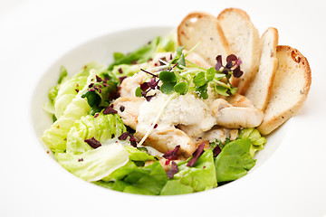 Image showing Caesar salad