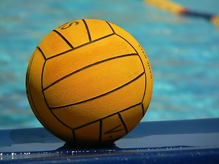 Image showing Water Polo
