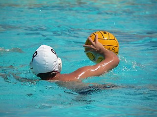 Image showing Water Polo