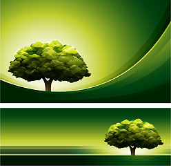 Image showing Oak tree background