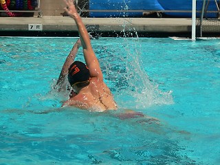 Image showing Water Polo