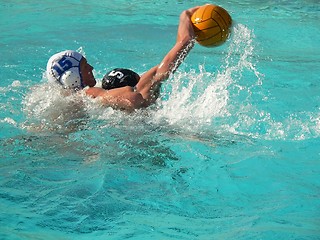 Image showing Water Polo