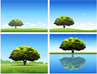 Image showing Oak tree background