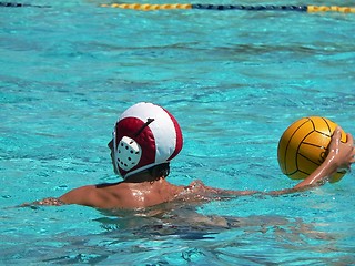 Image showing Water Polo