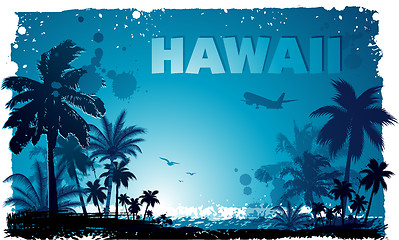 Image showing Tropical hawaiian background