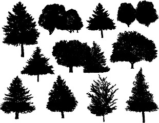 Image showing Tree silhouettes collection set