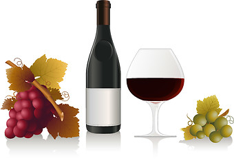 Image showing Wine elements