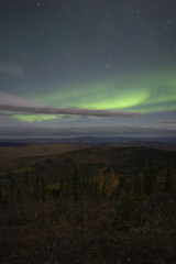 Image showing Moon lit sky with aurora over fall colors