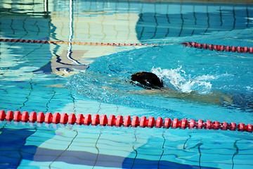 Image showing man swimming in pool