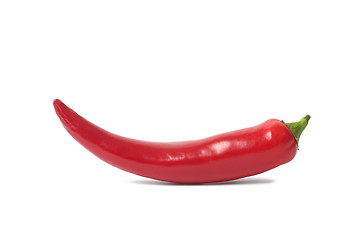 Image showing Red chili pepper