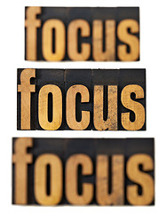 Image showing focus concept in wood type