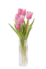 Image showing bunch of Tulips in a vase