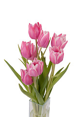 Image showing Zoom on a bunch of Tulips in a vase (top view)
